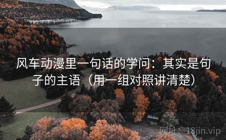 风车动漫里一句话的学问：其实是句子的主语（用一组对照讲清楚）